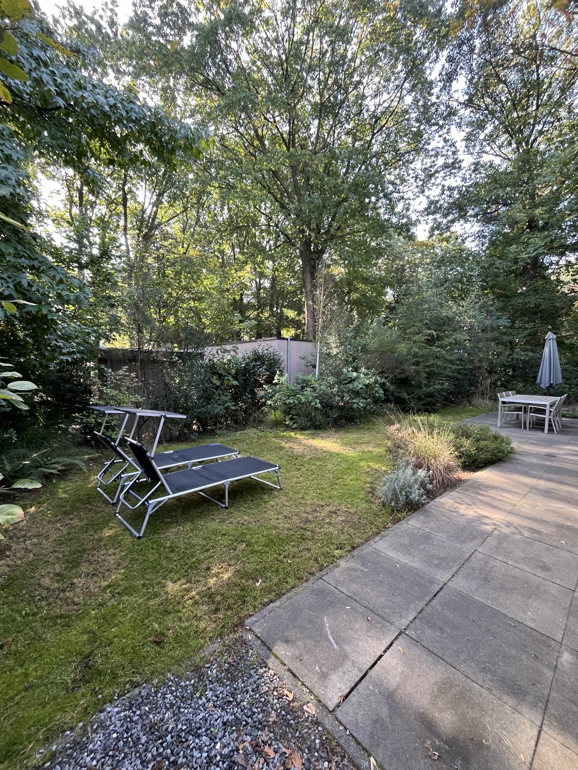 Tuin met ligbedden en terras tussen de bomen